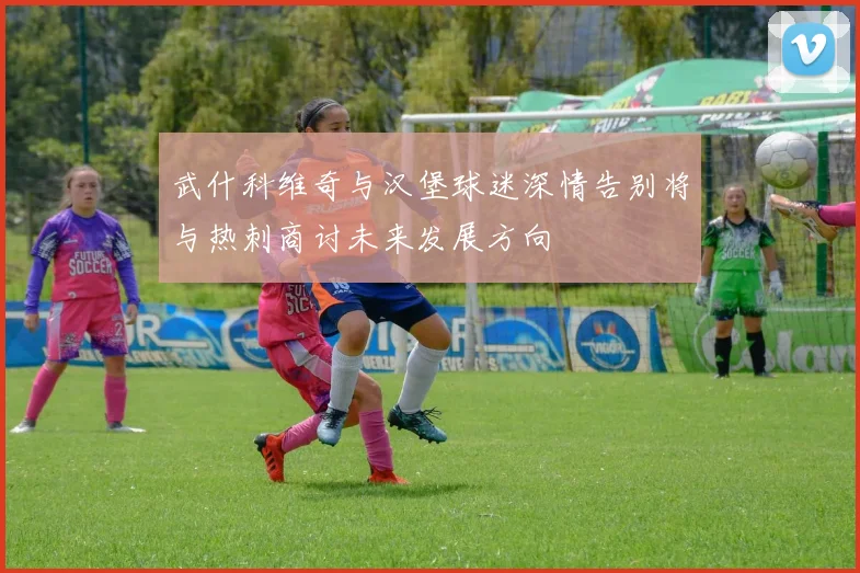武什科维奇与汉堡球迷深情告别将与热刺商讨未来发展方向